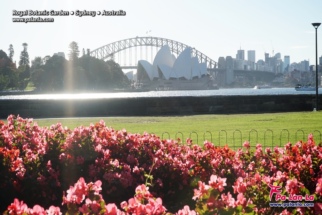 Royal Botanic Gardens